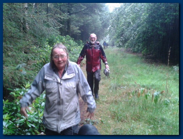 624x474 pixels (135K)